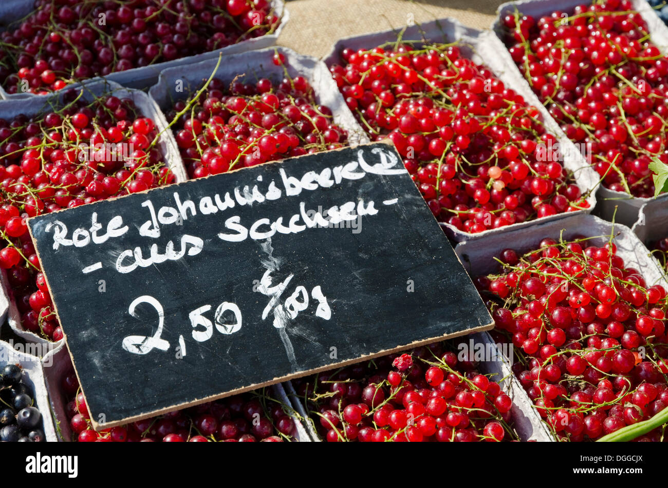 Rote Johannisbeeren mit Preis zum Verkauf an den wöchentlichen Markt, Dresden, Sachsen Stockfoto