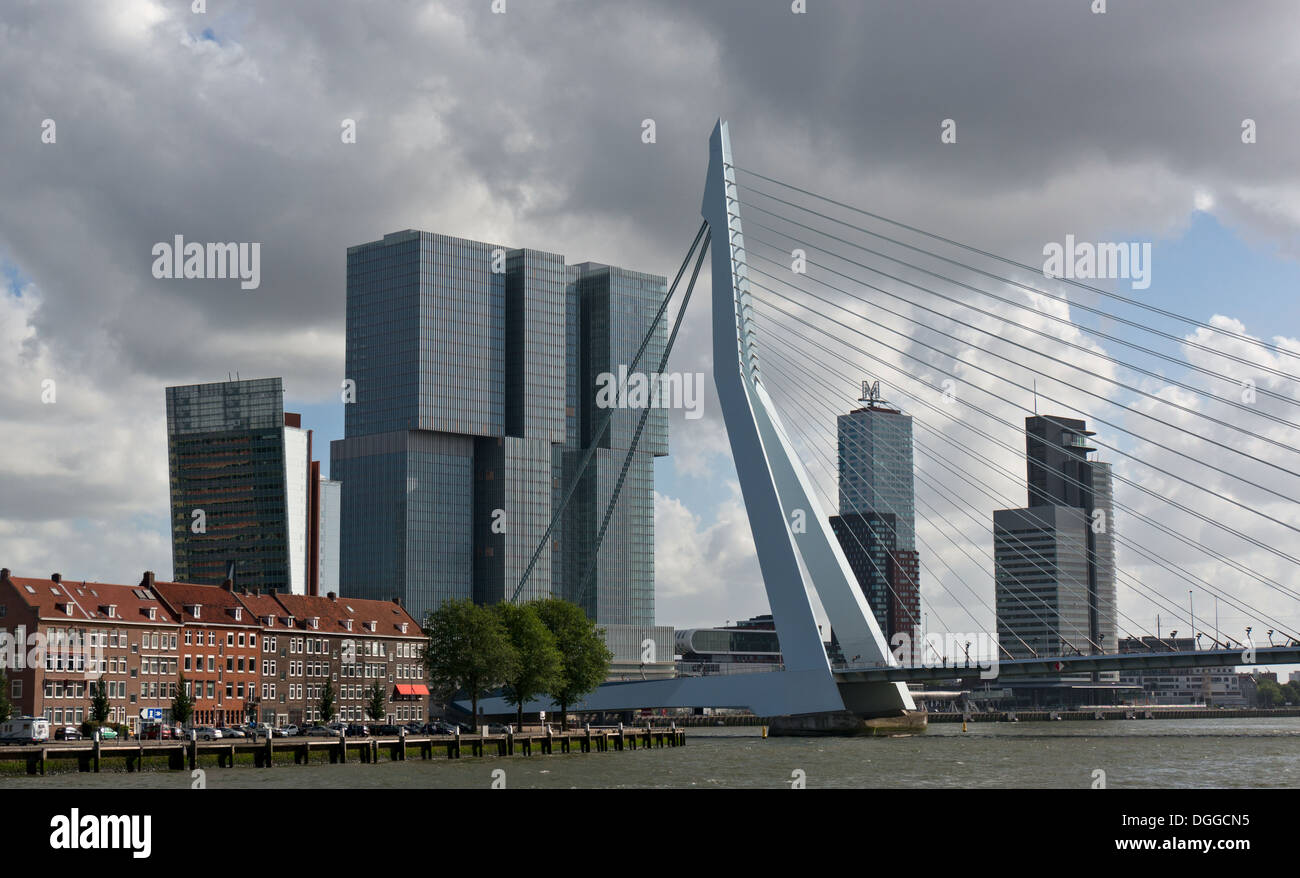 Erasmus-Brücke und Wolkenkratzer von Rotterdam, Niederlande Stockfoto