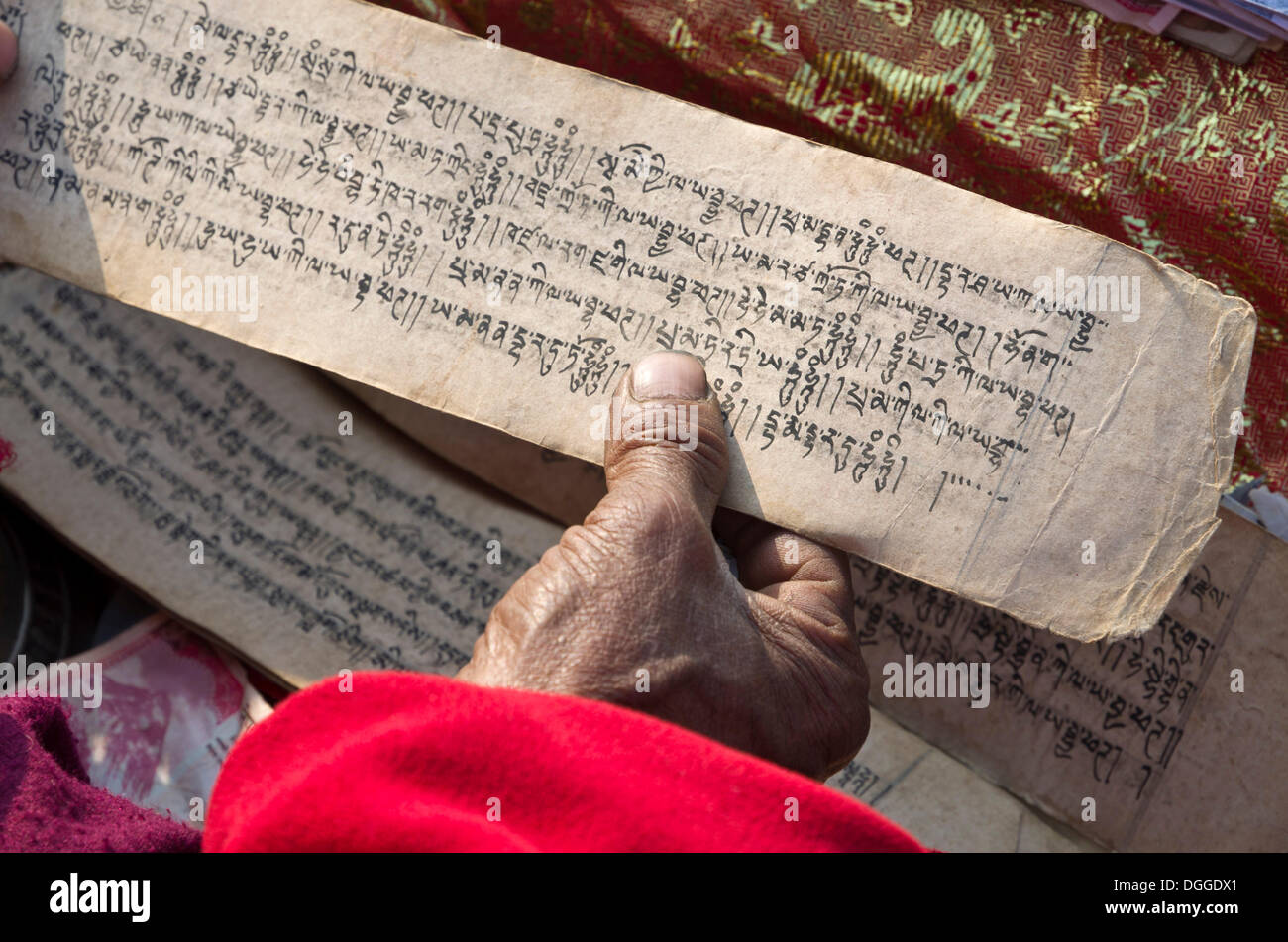 Tibetan Monk Lesen der Heiligen Schrift in tibetischer Sprache, am Fuße des Boudnath Stupa, Kathmandu-Tal, Kathmandu Stockfoto