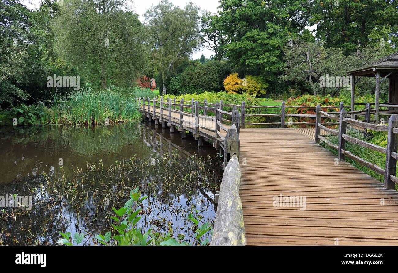 Holzsteg über einem teich Fotos und Bildmaterial in hoher Auflösung