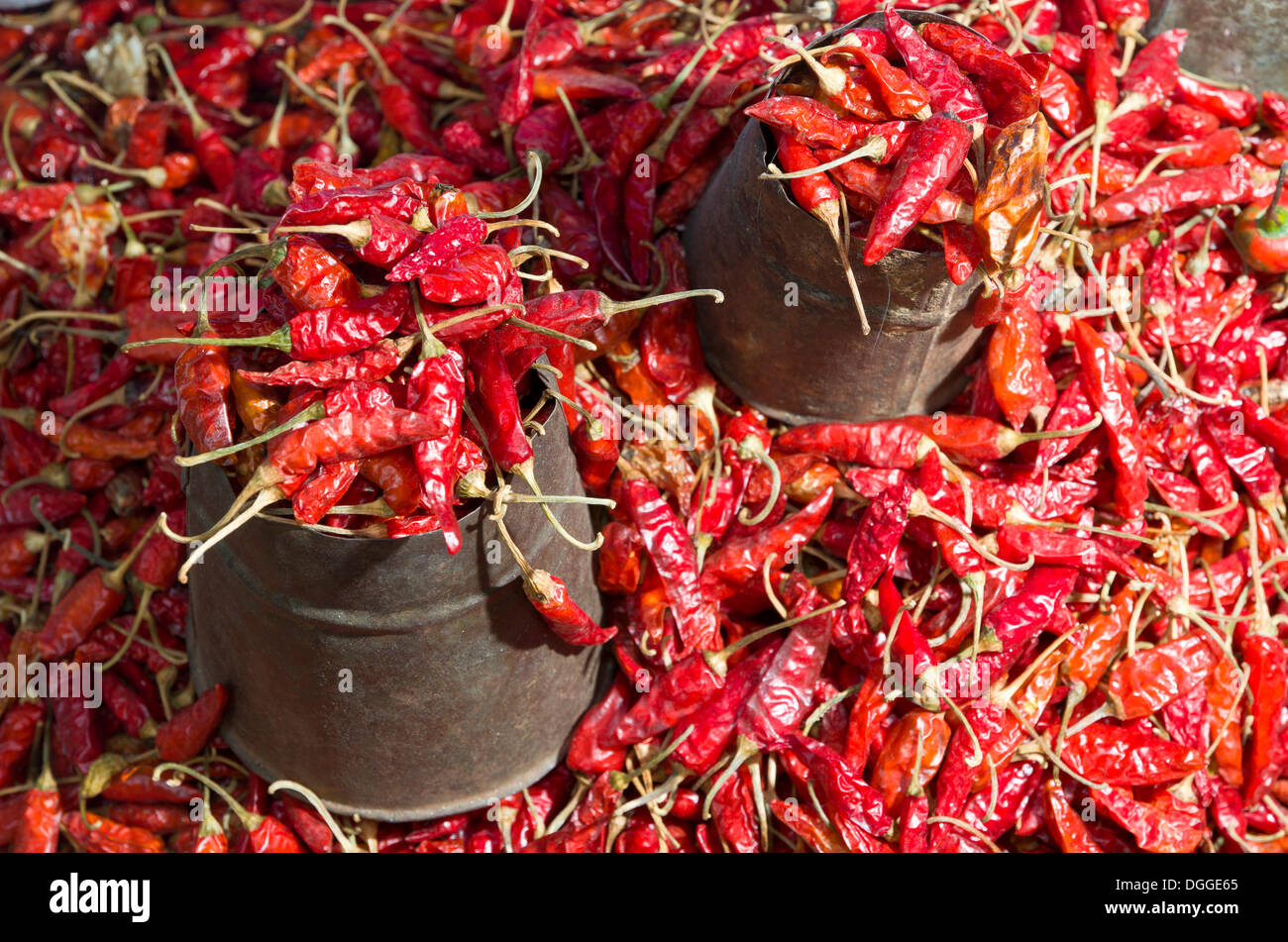 Rote Chilis, zum Verkauf, Bagmati Zone, Nepal, Kathmandu, Kathmandu Bezirk Stockfoto