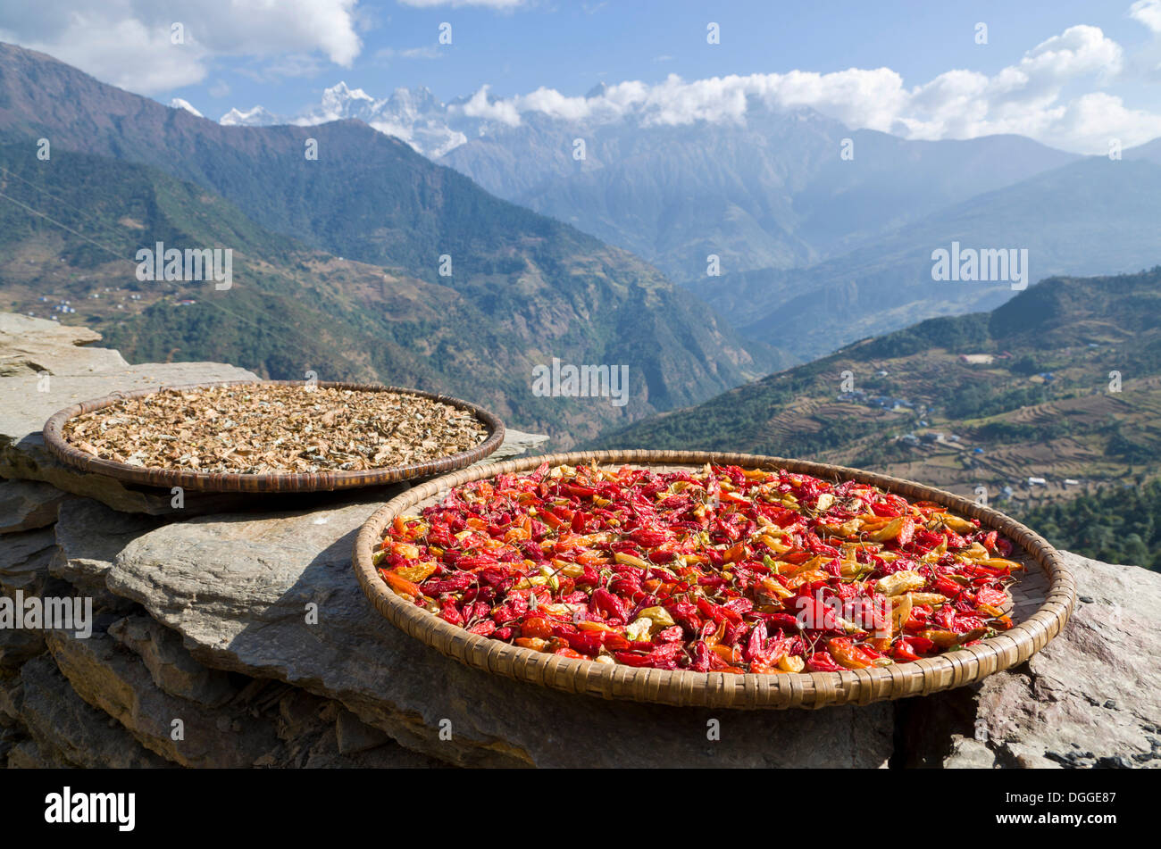 Rote Chilischoten auf einer Holzplatte trocknen in der Sonne, Taksindu, Solukhumbu Bezirk, Sagarmāthā Zone, Nepal Stockfoto