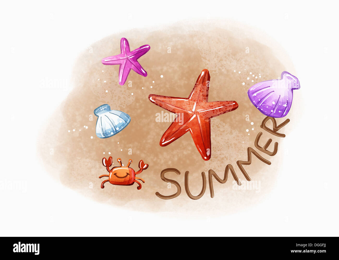 zur Veranschaulichung der Muscheln am Strand Stockfoto