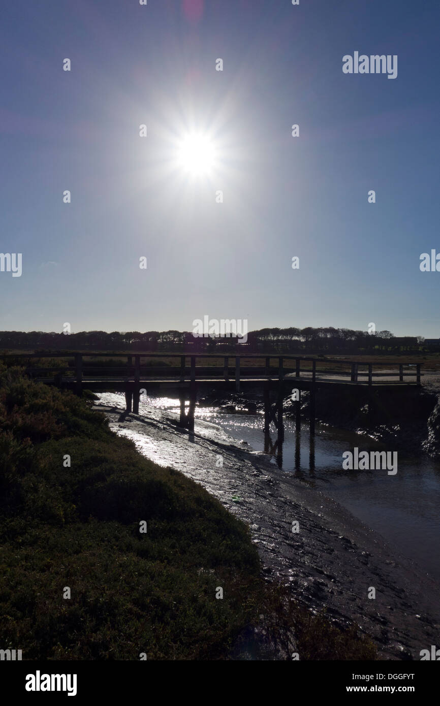 Fußgängerbrücke über den Toynbee Creek Stockfoto