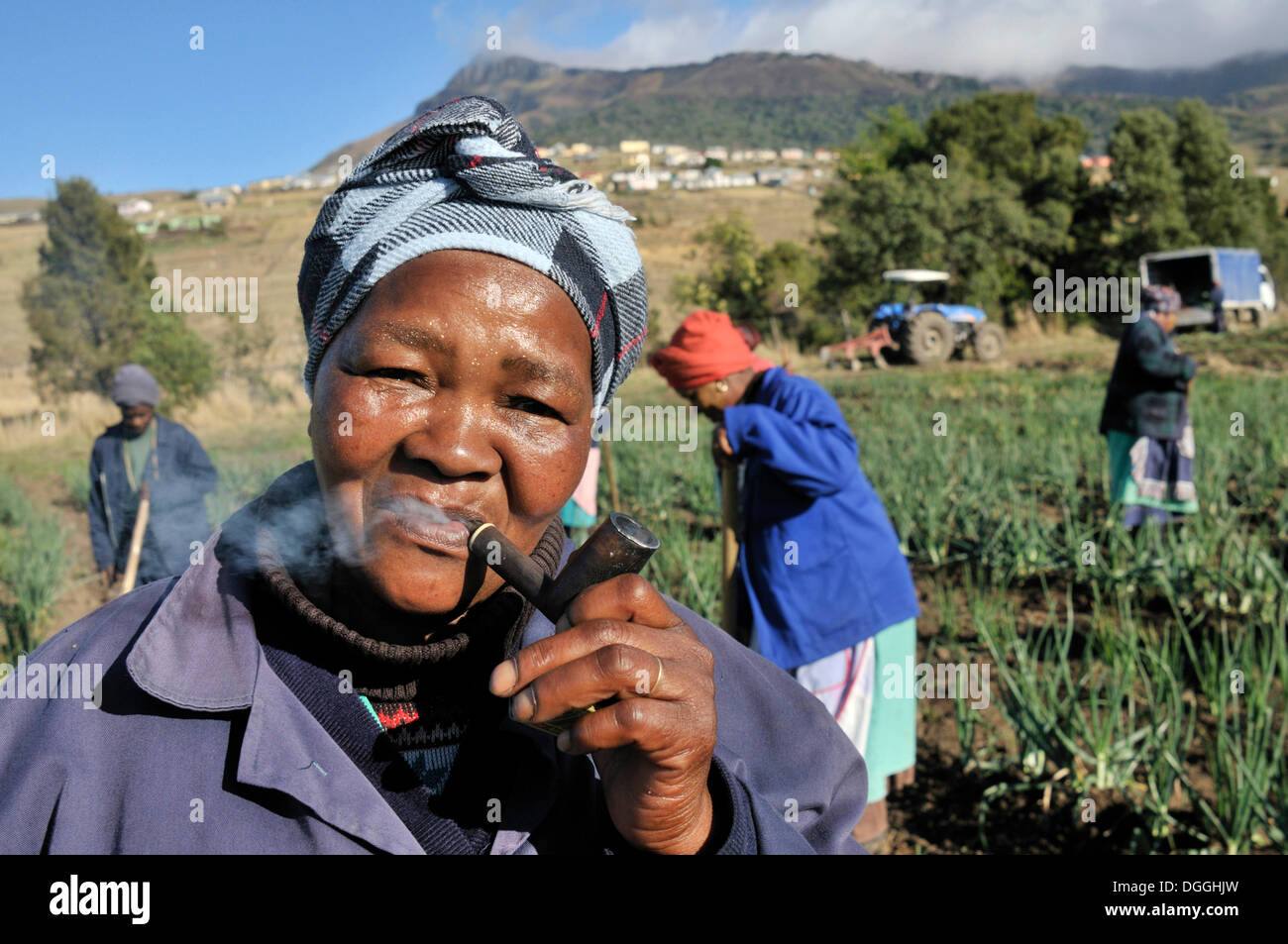 Porträt eines Bauern mit einem Rohr, Cata-Dorf in der ehemaligen Heimat Vereinigung, Eastern Cape, Südafrika, Afrika Stockfoto