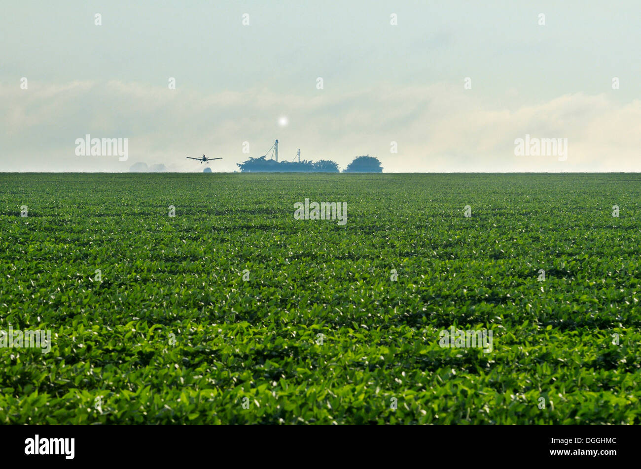 Sprühen von Pestiziden mit einem Kleinflugzeug in den Anbau von Sojabohnen, die Hauptursache für die fortschreitende Zerstörung der Stockfoto