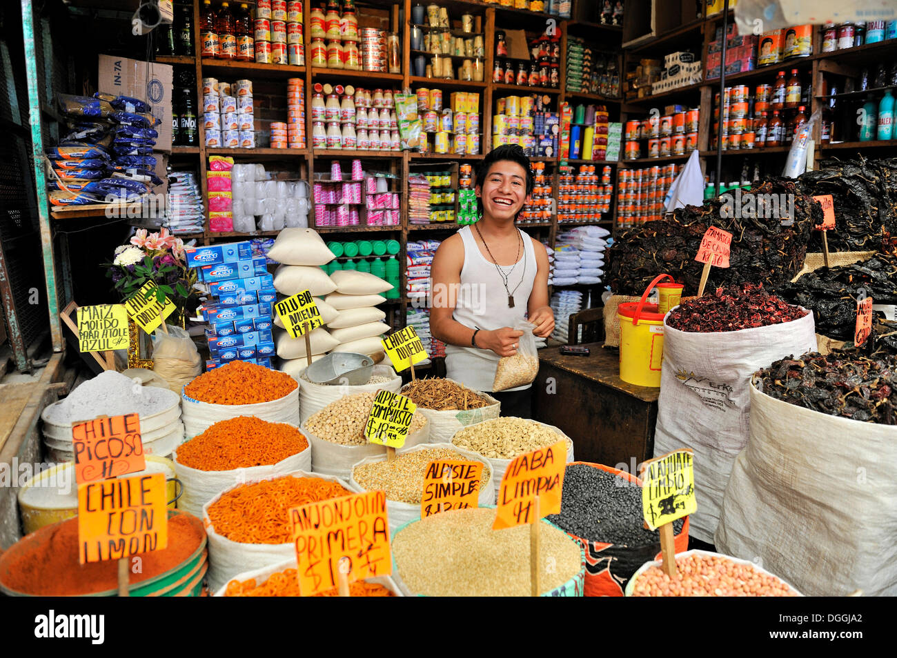 Jugend verkauft Gewürze und andere Zutaten in seinem Markt Abwürgen, städtische Märkte von Puebla, Mexiko, Mittelamerika Stockfoto