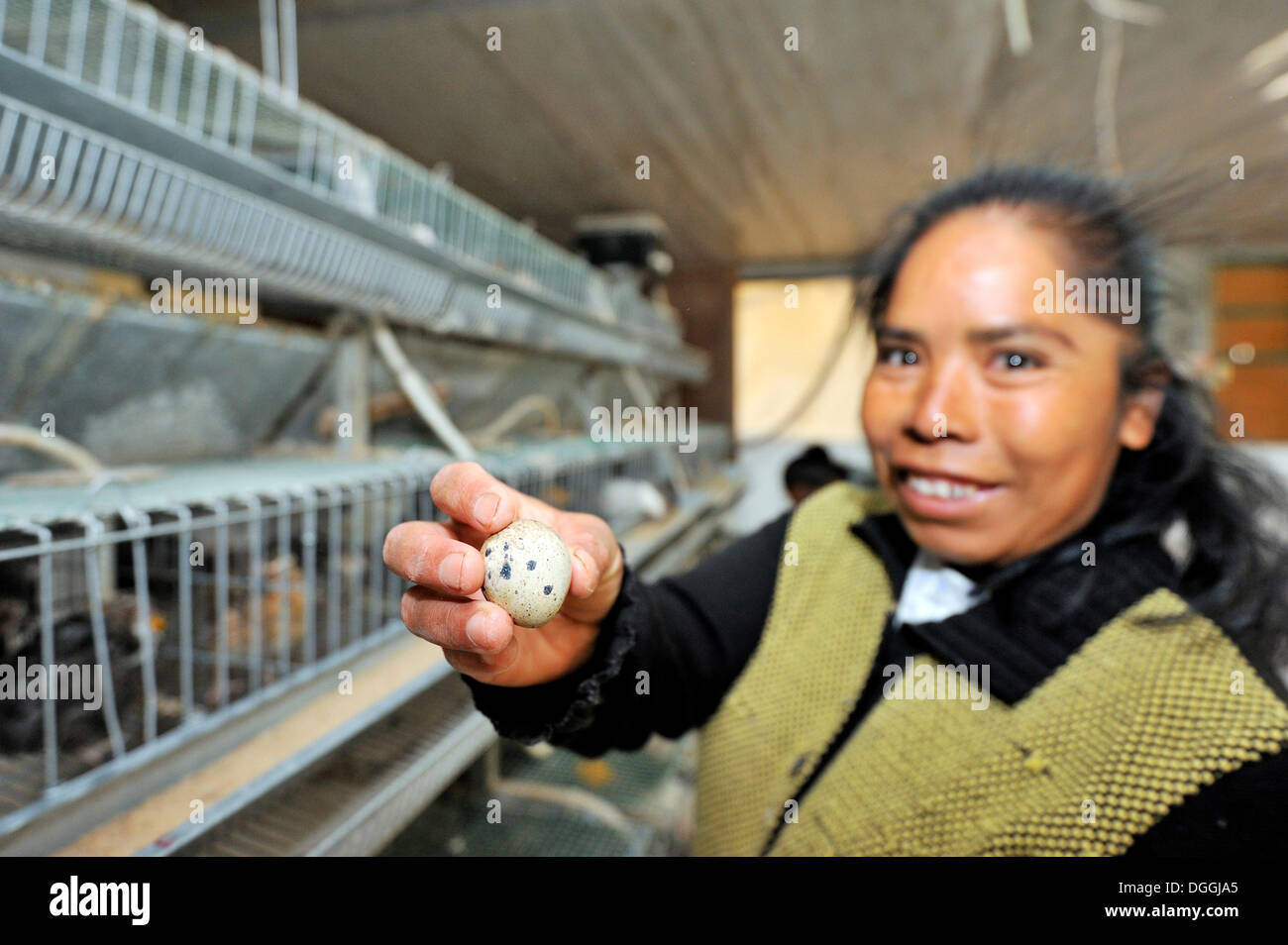 Junge Frau zeigt stolz ein Ei von der Wachtel-Zuchtstätte für Behinderte, Mateo Quinto, Puebla, Mexiko Stockfoto