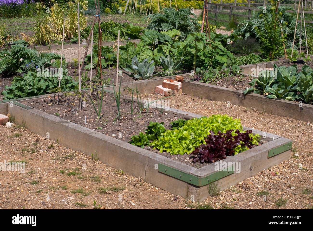 Hochbeet küche garten Fotos und Bildmaterial in hoher Auflösung Alamy