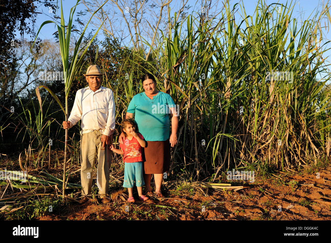 Bauern, Mann, 70, Frau, 47, und Enkelin, 3, vor einer Zuckerrohr-Plantage, Pastoreo, Caaguazu Abteilung Stockfoto