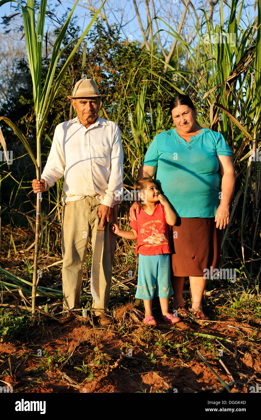 Bauern, Mann, 70, Frau, 47, und Enkelin, 3, vor einer Zuckerrohr-Plantage, Pastoreo, Caaguazu Abteilung Stockfoto