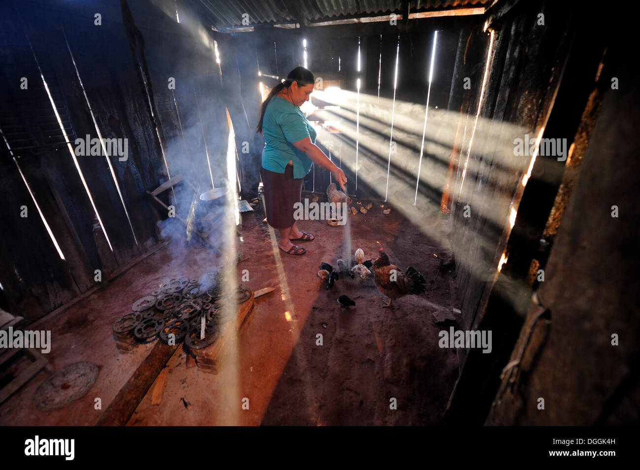 Bauer, 47, Fütterung der Hühner in der Küche, Pastoreo, Caaguazu Abteilung, Paraguay Stockfoto
