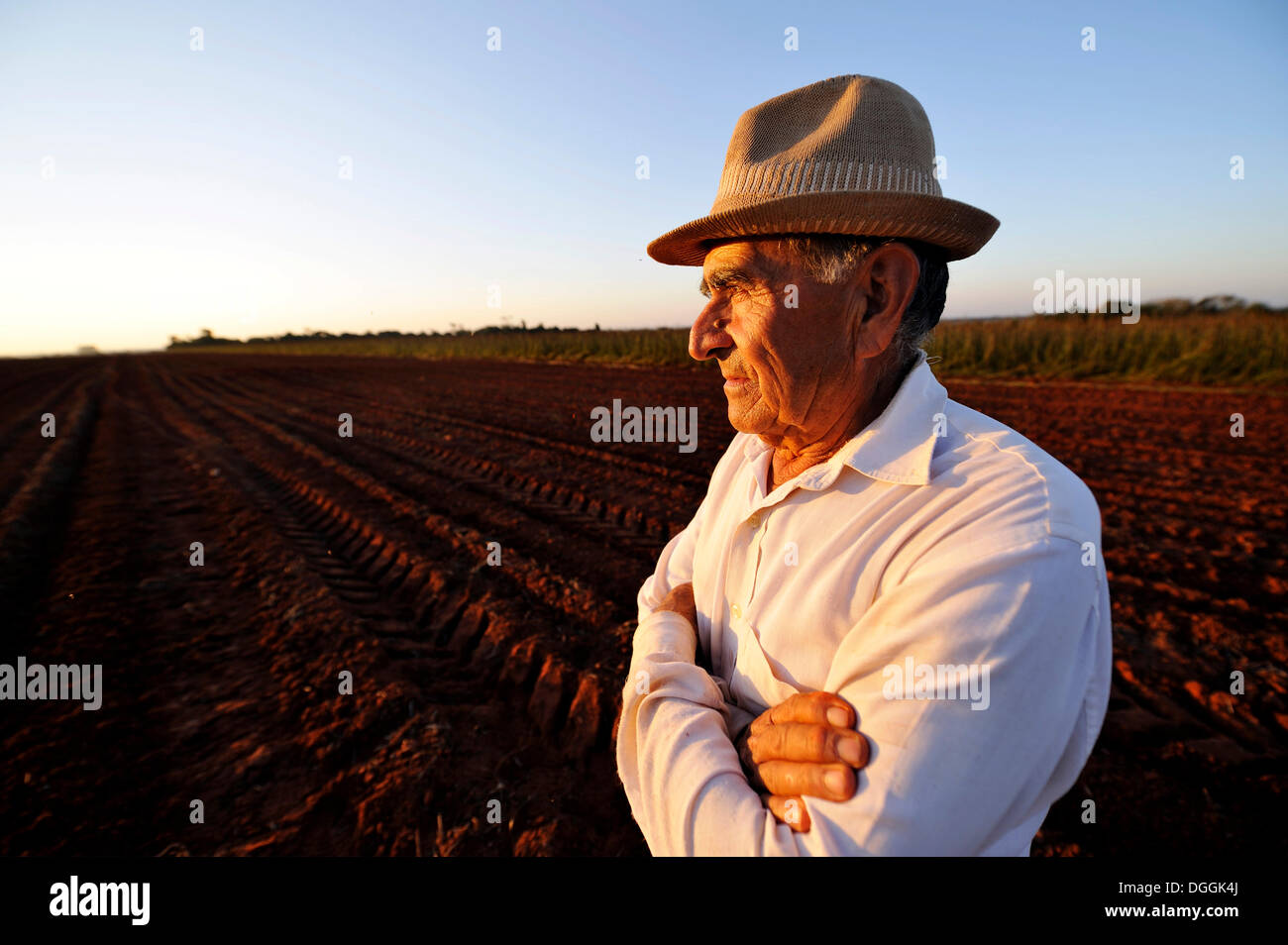 Bauer, 70, mit einem nachdenklichen Ausdruck, stehend auf seinem ehemaligen Grundstück die er gezwungen wurde, zu einem großen zu verkaufen Stockfoto