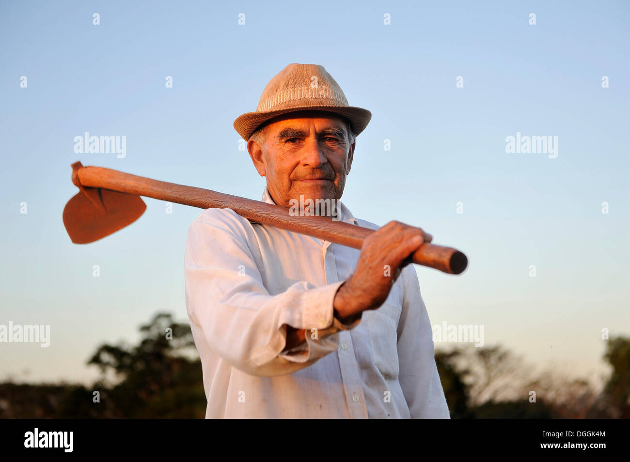 Bauer, 70, hält eine Hacke, Pastoreo, Caaguazu Abteilung, Paraguay Stockfoto