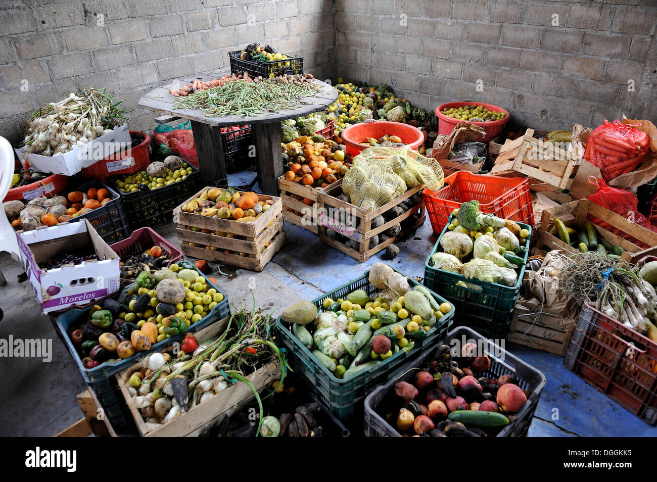Überreifem Obst und Gemüse, Spende von Markthändlern zu einem christlichen Schutz für illegale Einwanderer aus Lateinamerika Stockfoto Überreifem Obst und Gemüse, Spende von Markthändlern zu einem christlichen Schutz für illegale Einwanderer aus Lateinamerika Stockfoto
