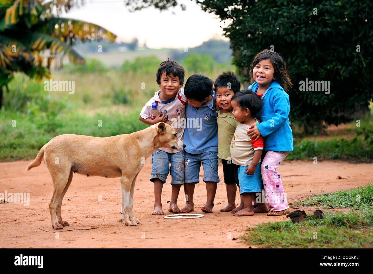 Gruppe von glücklichen Kindern mit einem Hund in einer Gemeinschaft von Guarani-Indianer, Jaguary, Caaguazu Abteilung, Paraguay Stockfoto