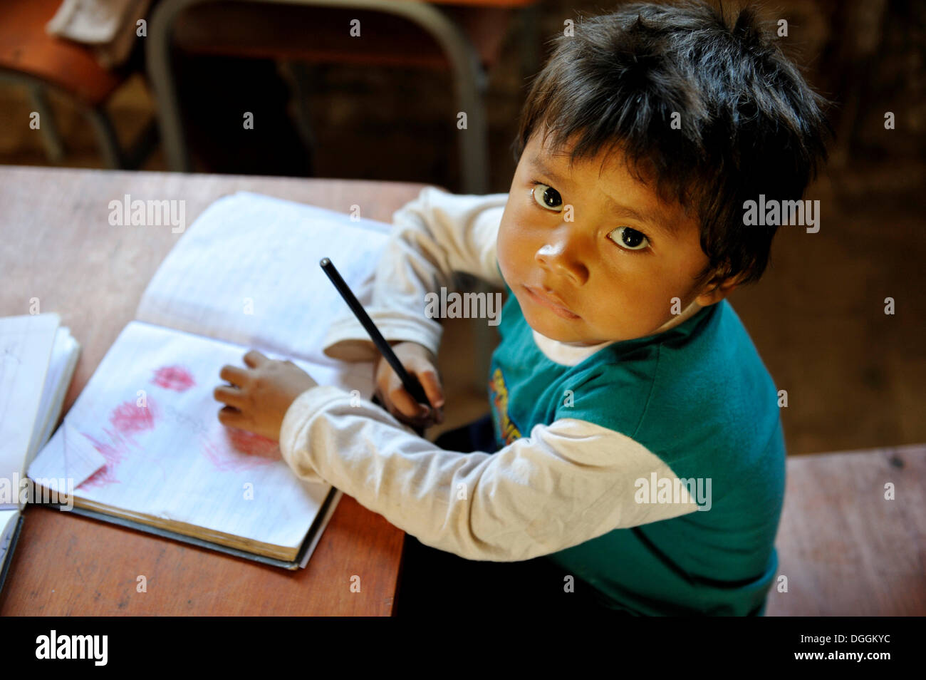 Junge mit einem Buch in einem Klassenzimmer, in der Gemeinschaft der Mbya Guarani Indianer, Campito, Caaguazu Abteilung, Paraguay Stockfoto