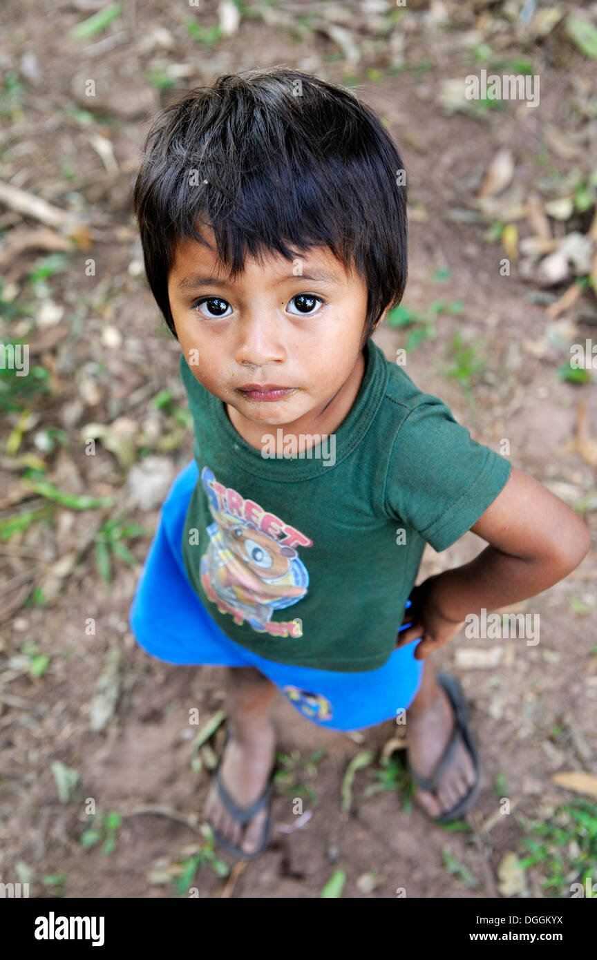 Junge aus der Mbya Guarani indigenen Gruppe, Up, Kambay, Caaguazu Abteilung, Paraguay Stockfoto