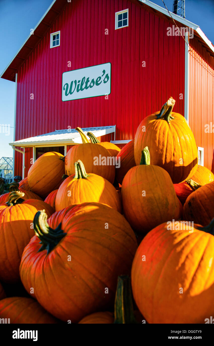 Kürbisse zum Verkauf an Wiltses Farm stehen in der Nähe von DeKalb, Illinois, einer Stadt auf dem Lincoln Highway Funktionen Bauernhof frisch produzieren. Stockfoto