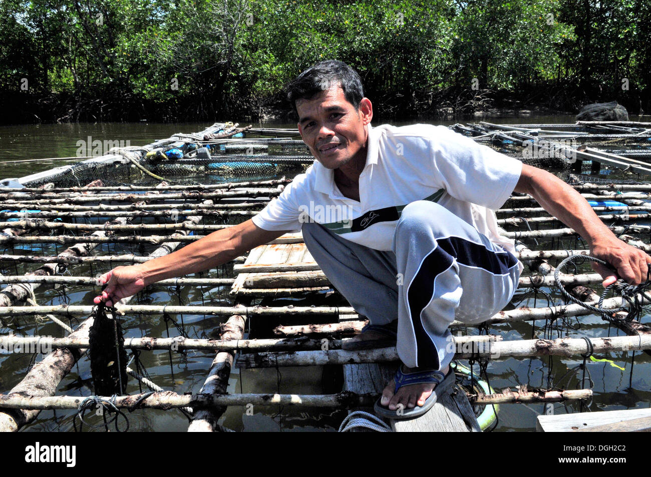 Aquakultur - Muscheln, die Landwirtschaft in Thailand (Krabi) Stockfoto