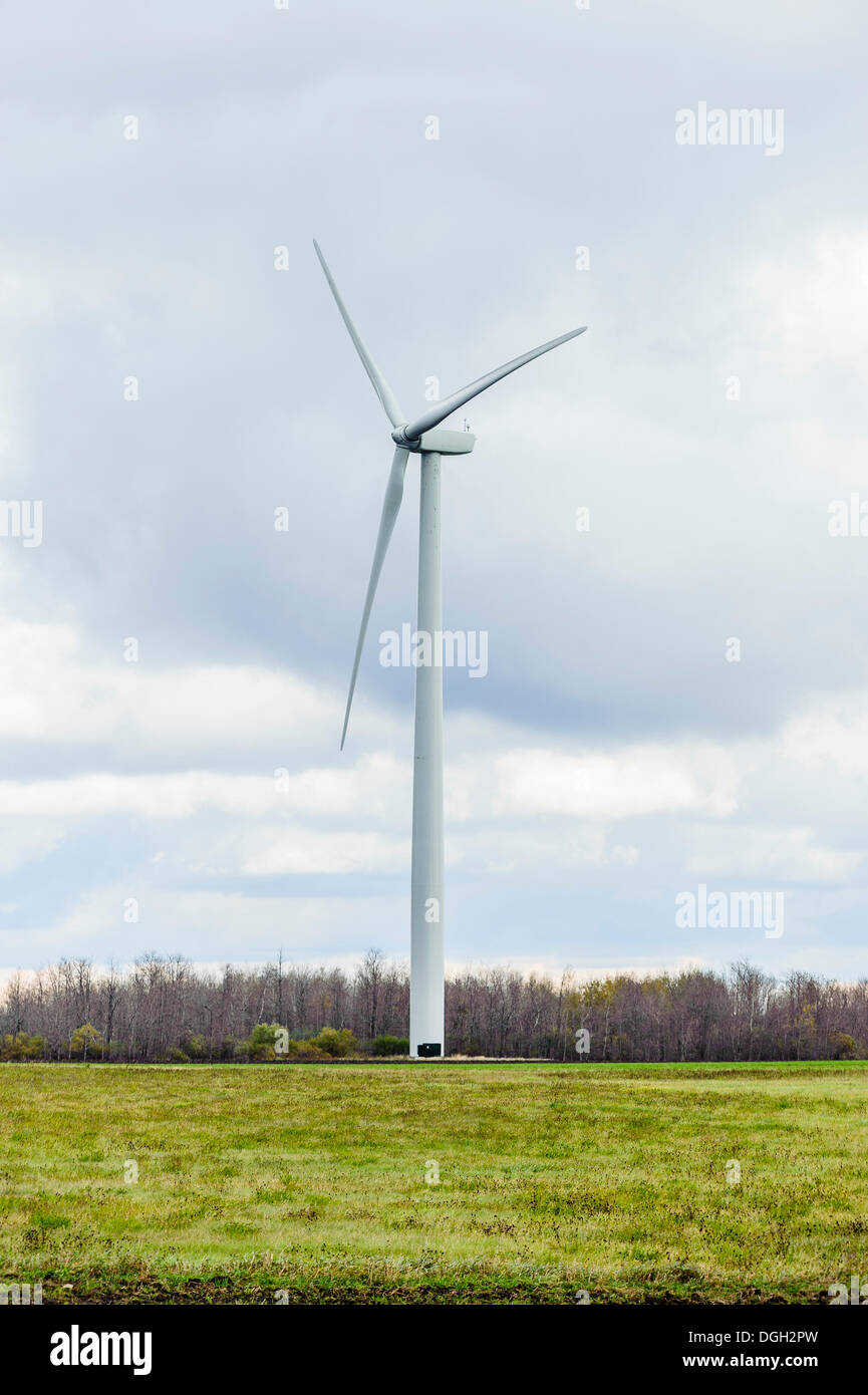 Shelburne, can, 20. Oktober 2013 - Bewohner haben die Installation von mehr als 100, 80 bis 100 Meter lange beklagte, Windkraftanlagen. Beschwerden von gesundheitlichen Problemen und Störungen der Lebensräume für Tiere gibt es zuhauf, und der Katalysator für die Forschung gewesen. Stockfoto