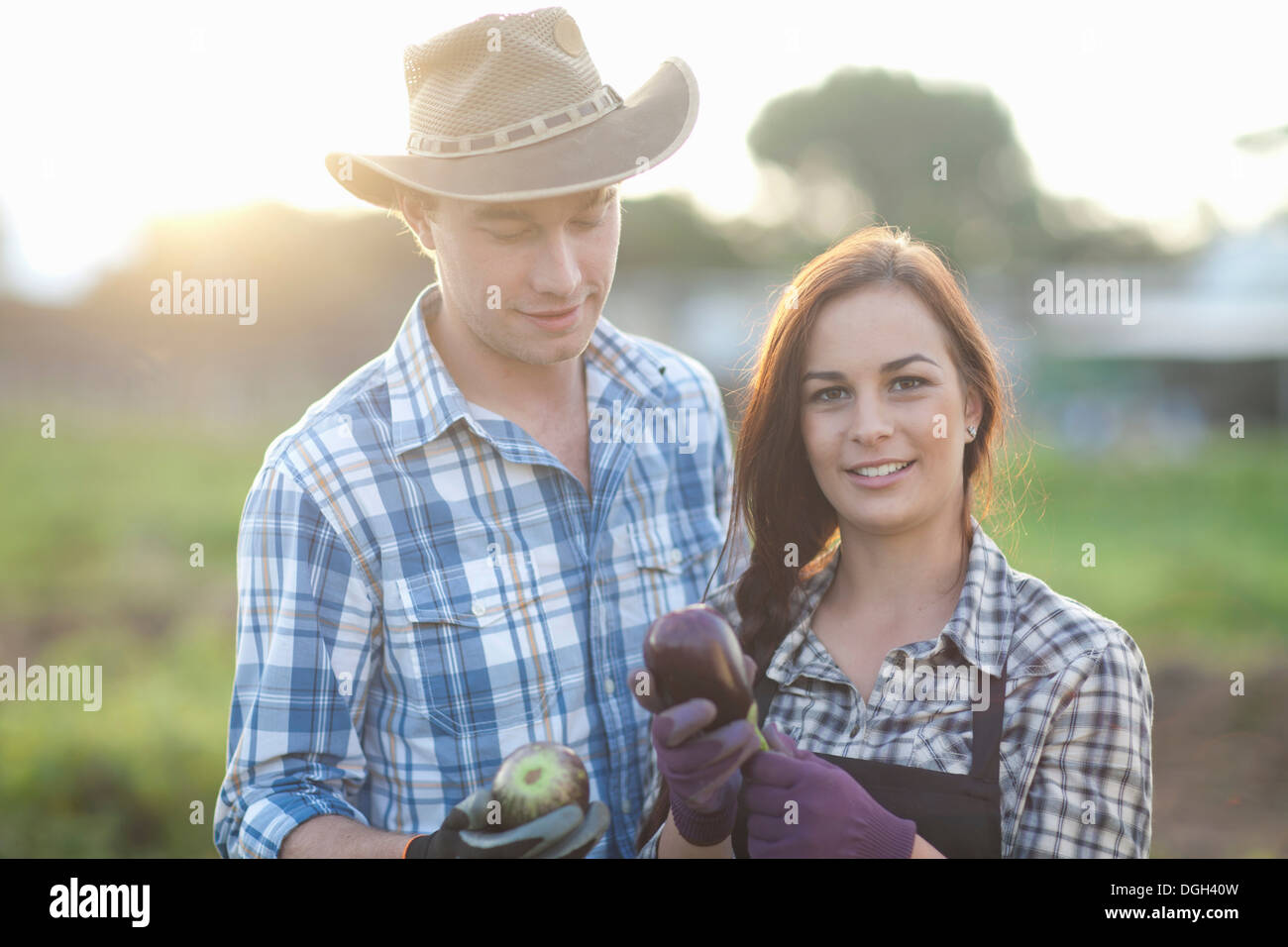 Junge Landarbeiter mit Auberginen angebaut auf Bauernhof Stockfoto