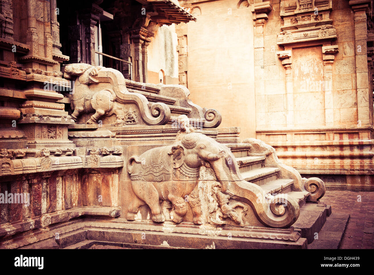 Erstaunliche Stein Flachrelief auf Trittleiter der Hauptturm im Hindu Brihadishvara-Tempel. Süd-Indien, Tamil Nadu, Thanjavur (Trichy) Stockfoto