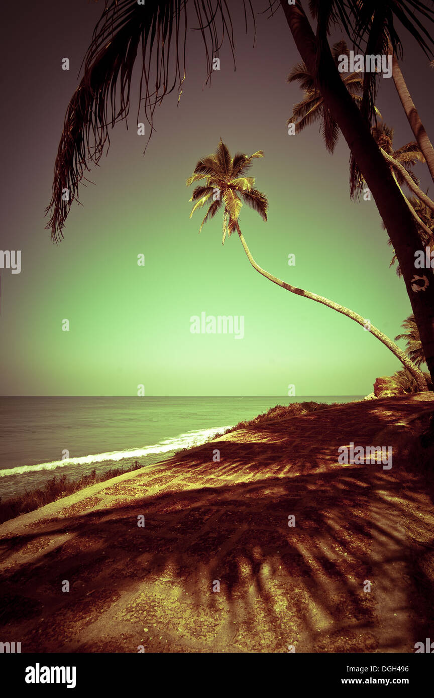Schöner sonniger Tag am tropischen Strand mit Palmen. Ozean-Landschaft im Vintage-Stil. Indien Stockfoto