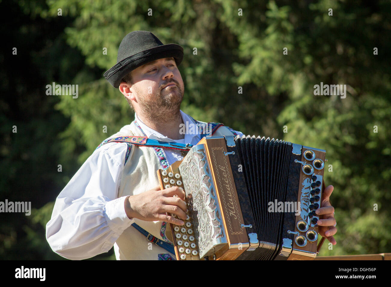 Folklore-Musiker am Akkordeon Stockfoto