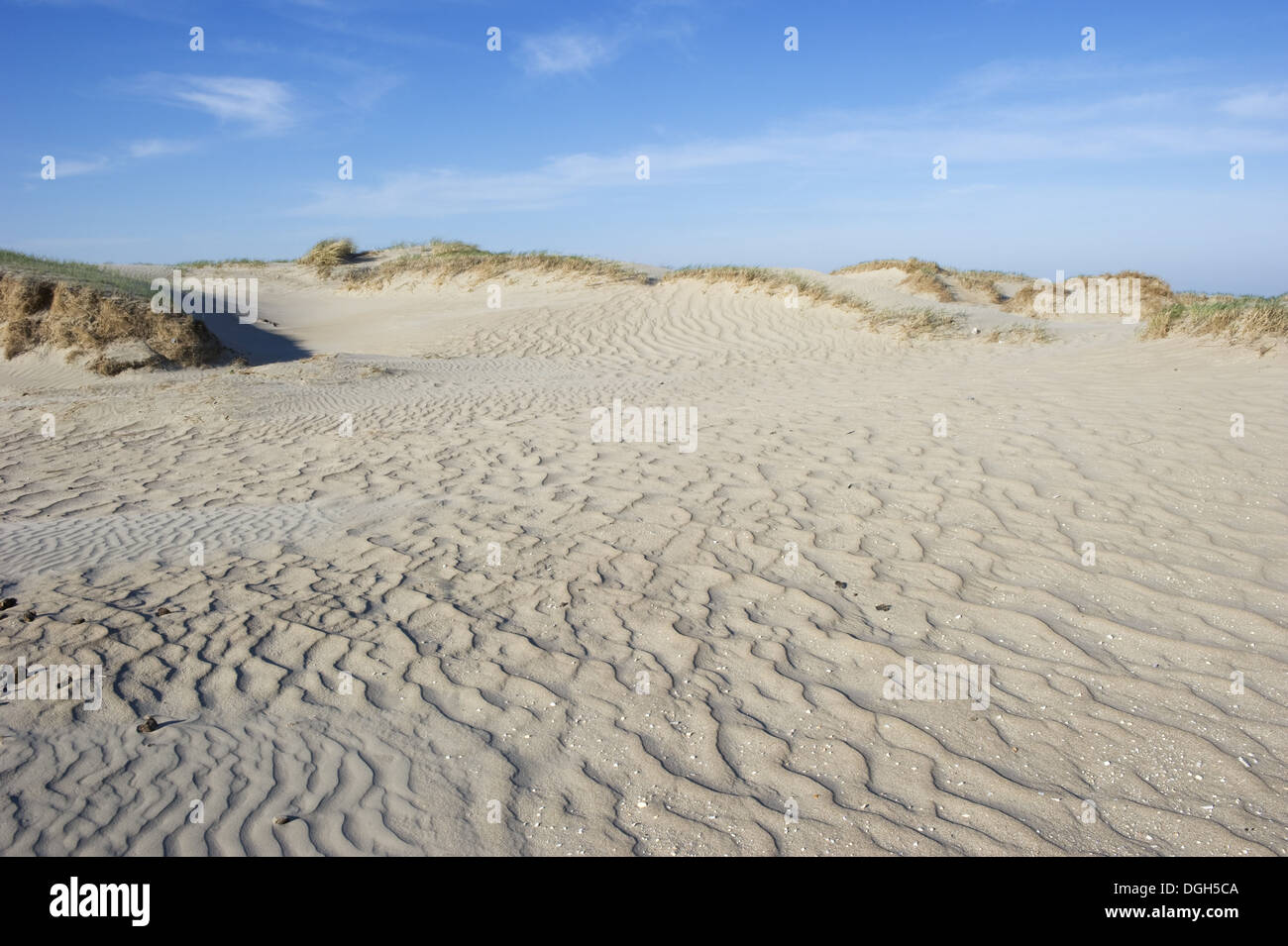 Rømø dänemark insel -Fotos und -Bildmaterial in hoher Auflösung – Alamy
