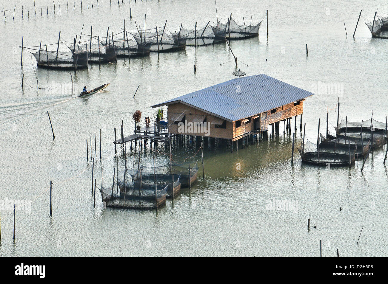 Aquakultur - Fischzucht in Thailand (Songkhla Lake) Stockfoto