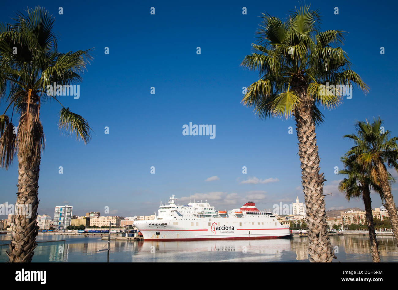 Blick durch Palmen, Acciona Fähre Schiff Malaga Spanien Stockfoto