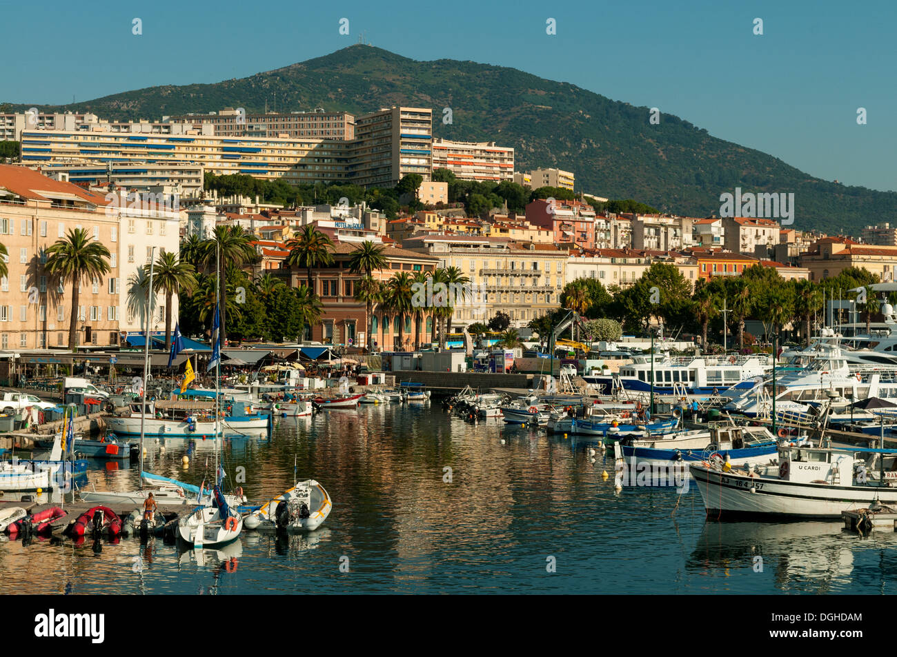 Port de Peche Marina, Ajaccio, Korsika, Frankreich Stockfoto