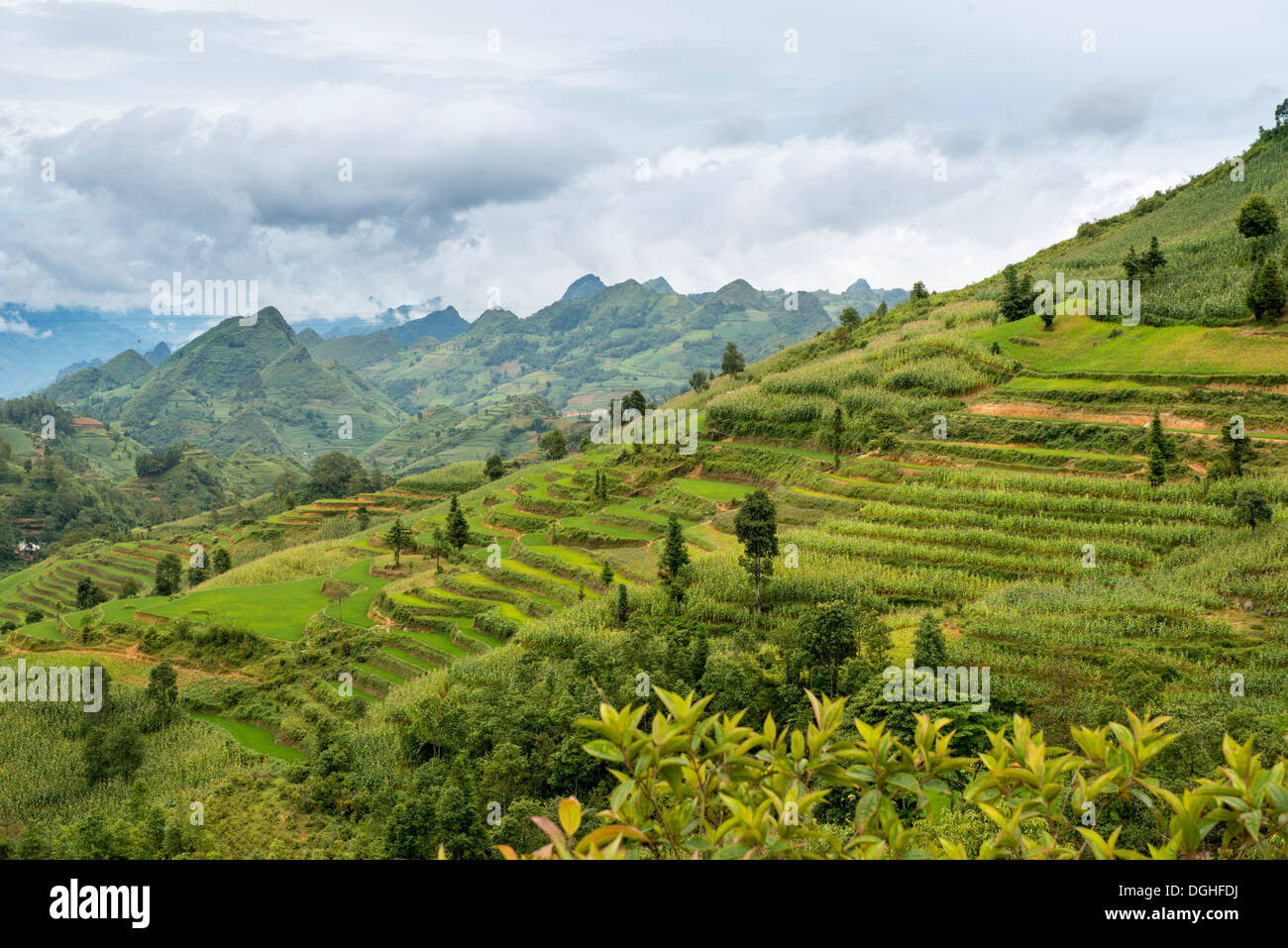 Landschaft von Bac Ha, Lao Cai, Vietnam Stockfoto