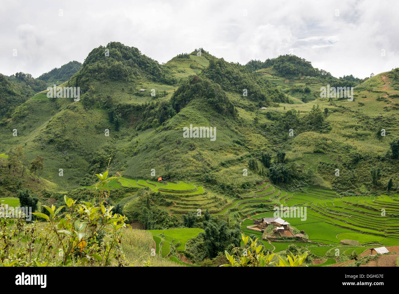 Landschaft von Bac Ha, Lao Cai, Vietnam Stockfoto