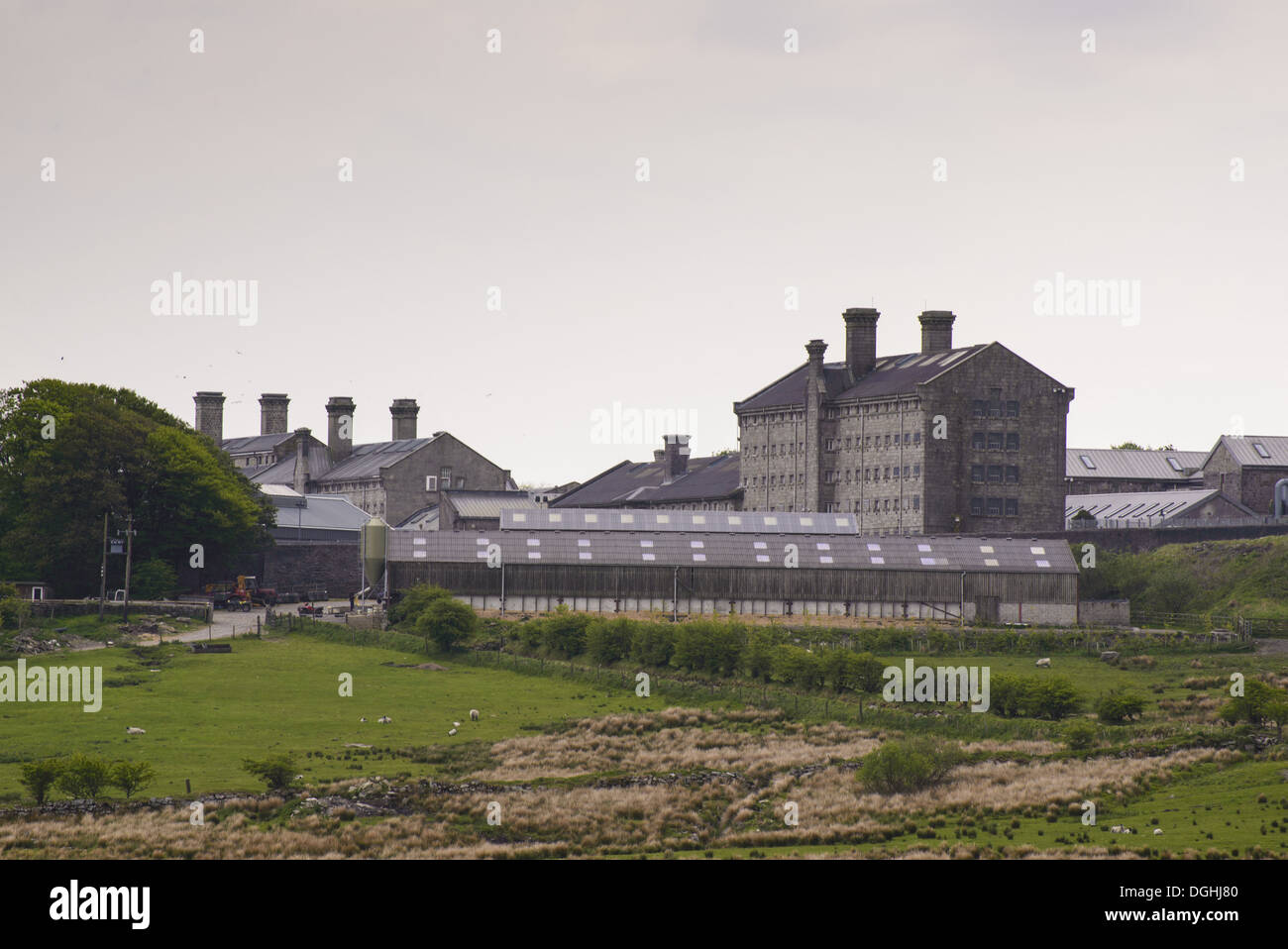 Landwirtschaftliche Gebäude und Gefängnis auf Moorland, HM Prison Dartmoor, Princetown, Dartmoor, Devon, England, Juni Stockfoto