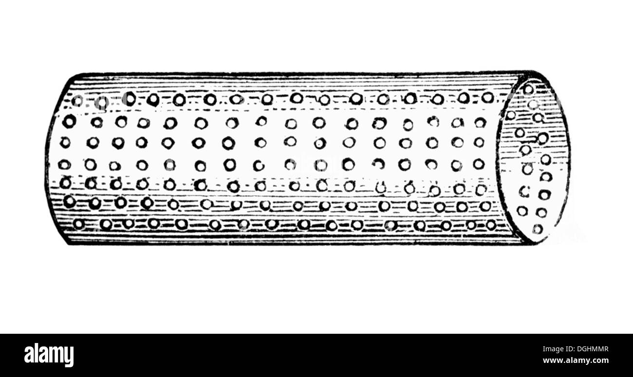 Spitzen-Waschmaschine, historische Illustration aus: Marie Adenfeller, Friedrich Werner: illustrierte Kochen und Hauswirtschaft Stockfoto