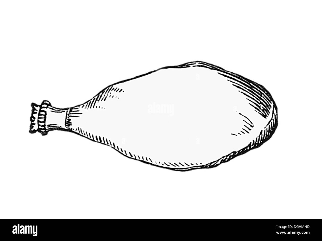 Schinken, historische Illustration aus: Marie Adenfeller, Friedrich Werner: illustrierte Kochen und Hauswirtschaft Buch Stockfoto