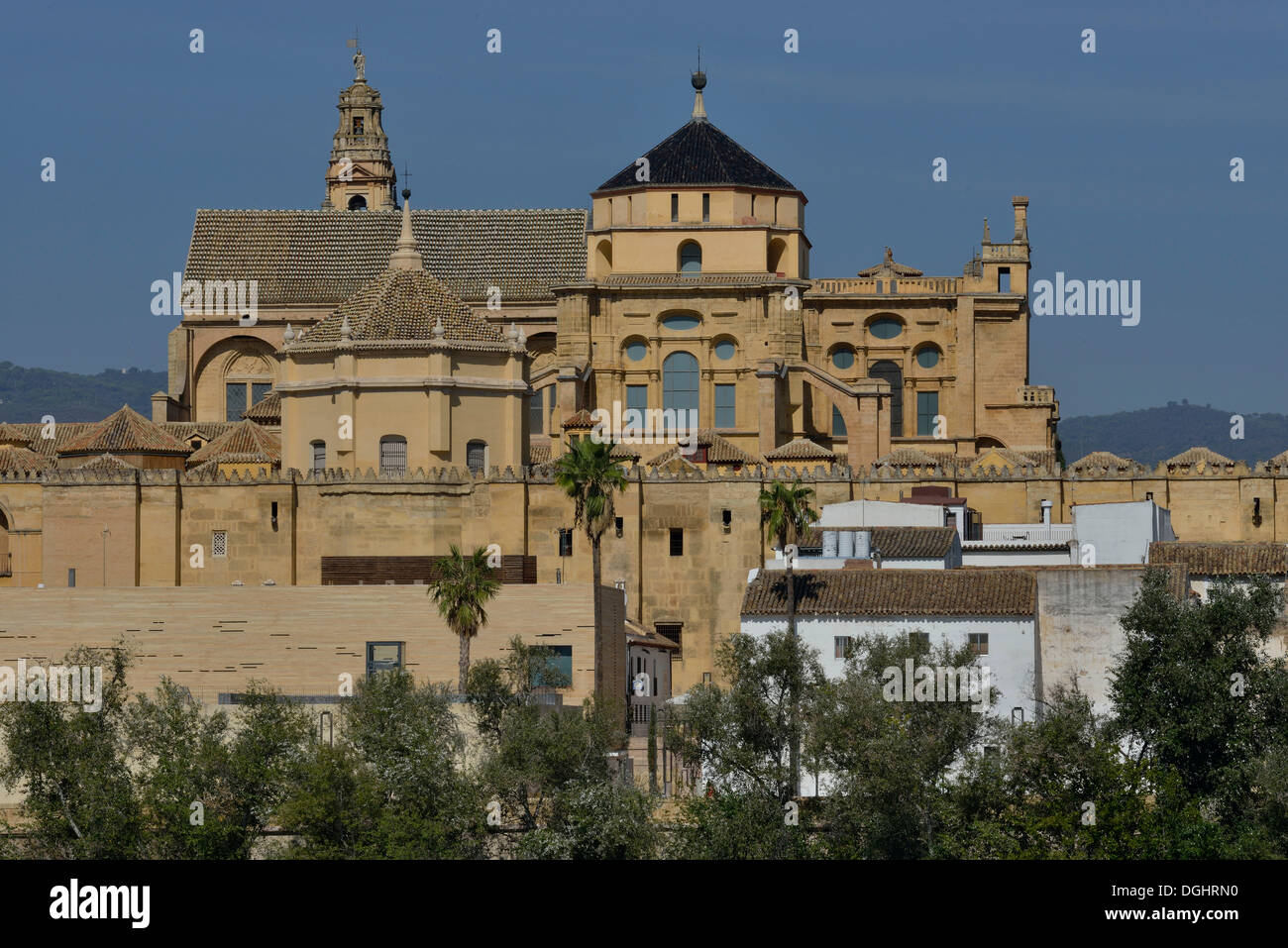 Moschee, Moschee-Kathedrale von Córdoba, die Kathedrale von der Konzeption der Muttergottes, Córdoba, Córdoba Provinz, Andalusien, Spanien Stockfoto