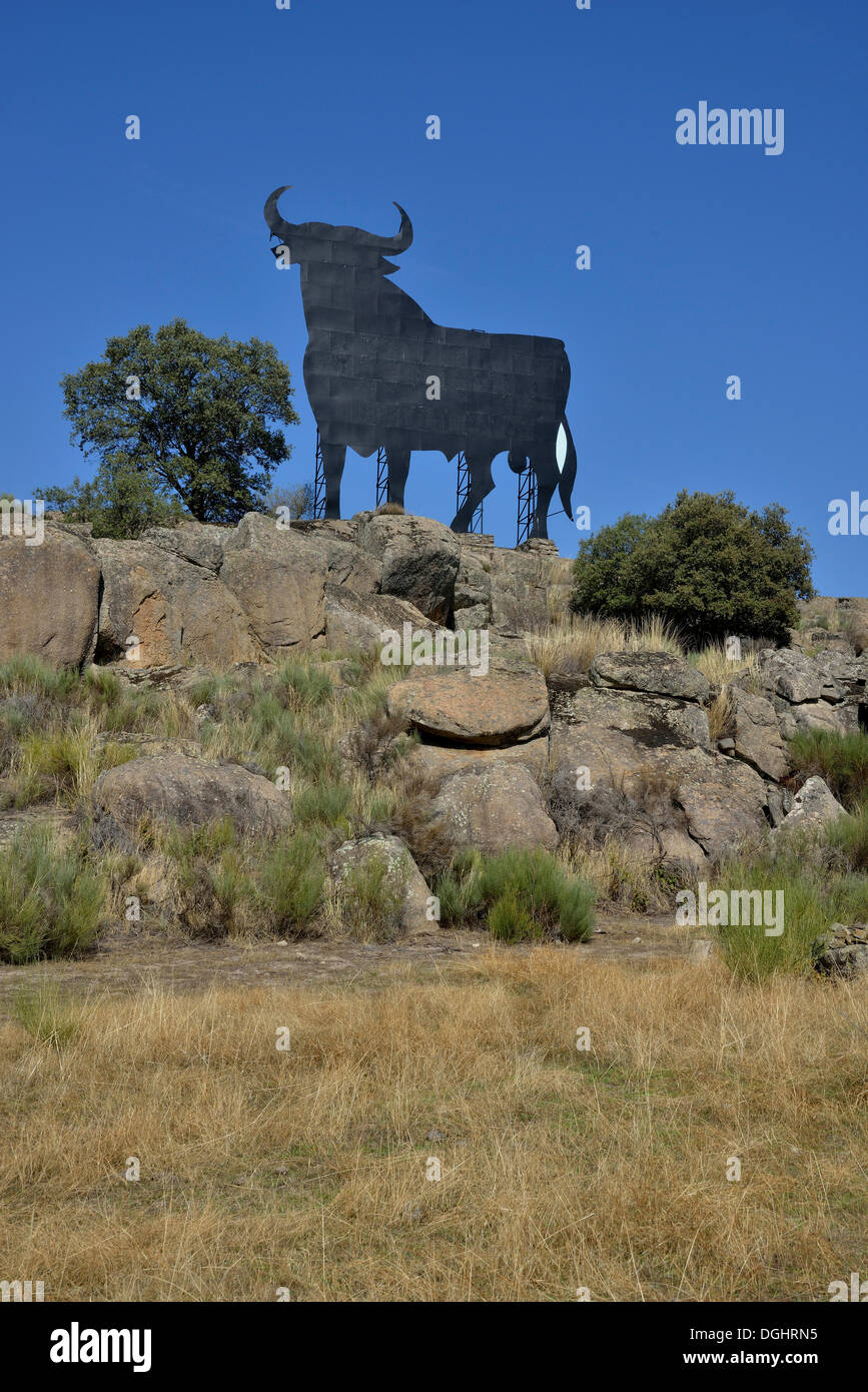 Osborne-Stier, Toro de Osborne, Provinz Cáceres, Bei Trujillo, Extremadura, Spanien Stockfoto