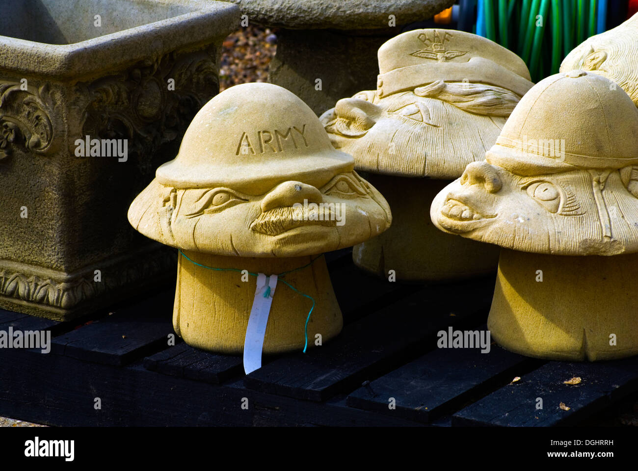 Pilzarmee Fotos und Bildmaterial in hoher Auflösung Alamy
