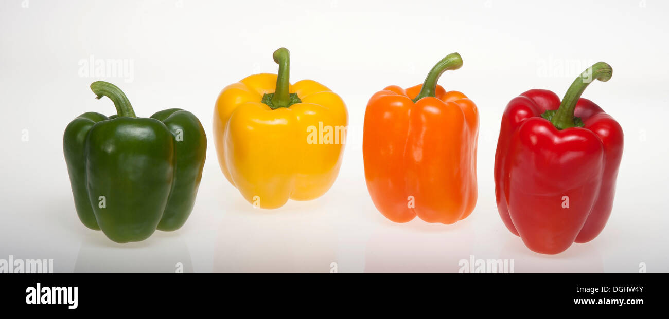 Bunte Paprika Paprika, grün, gelb, Orange, rot, Studio-Fotografie Stockfoto