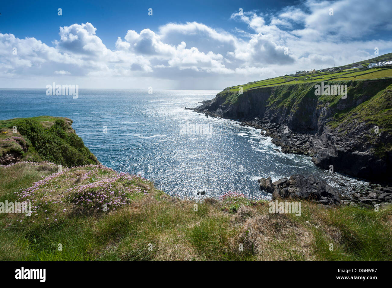 Küste am Atlantik, Halbinsel Dingle, County Kerry, Irland, Europa Stockfoto