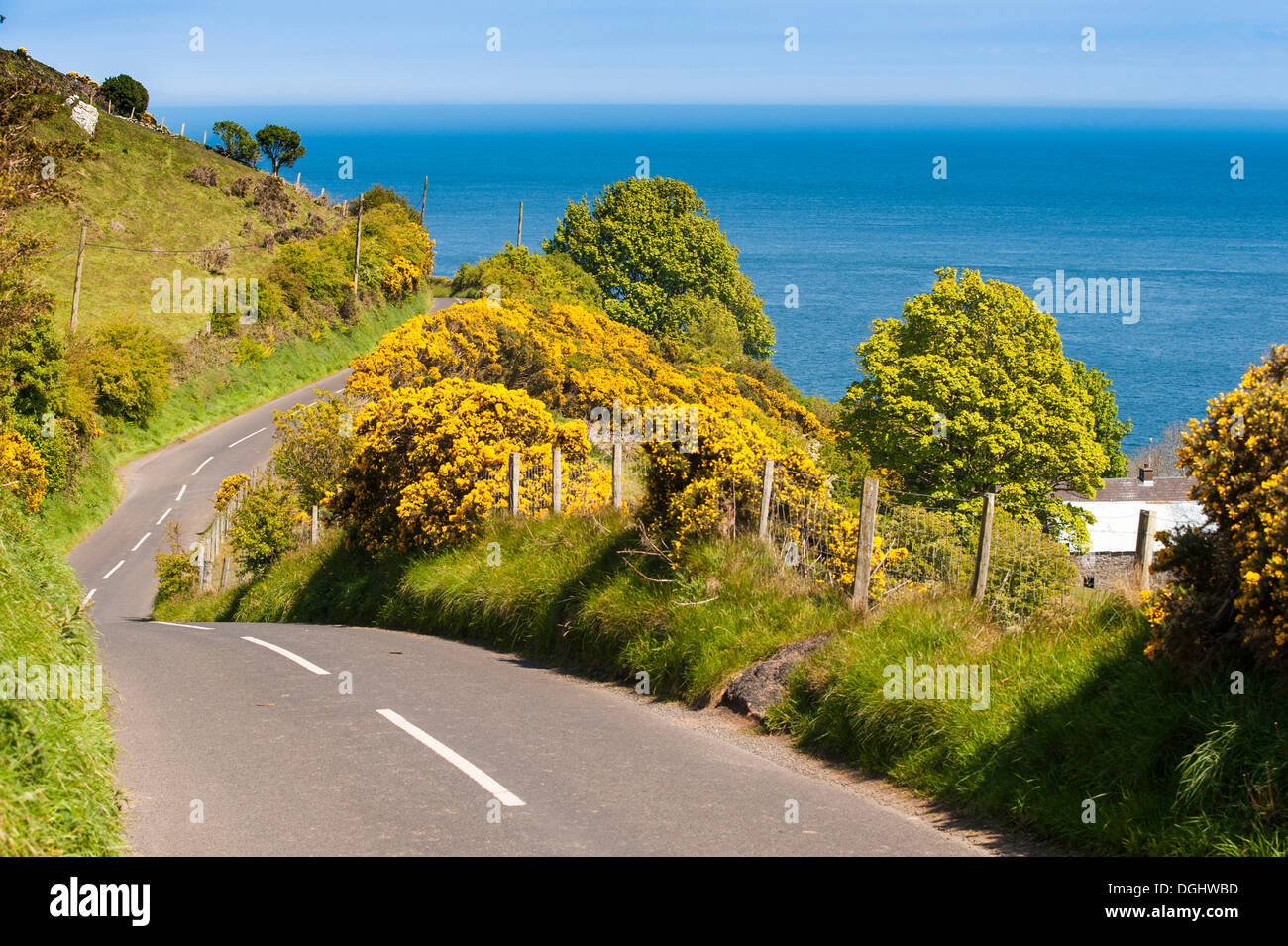 Wicklung der Küstenstrasse nach Torr Head, finden, Nordirland, Vereinigtes Königreich, Europa Stockfoto