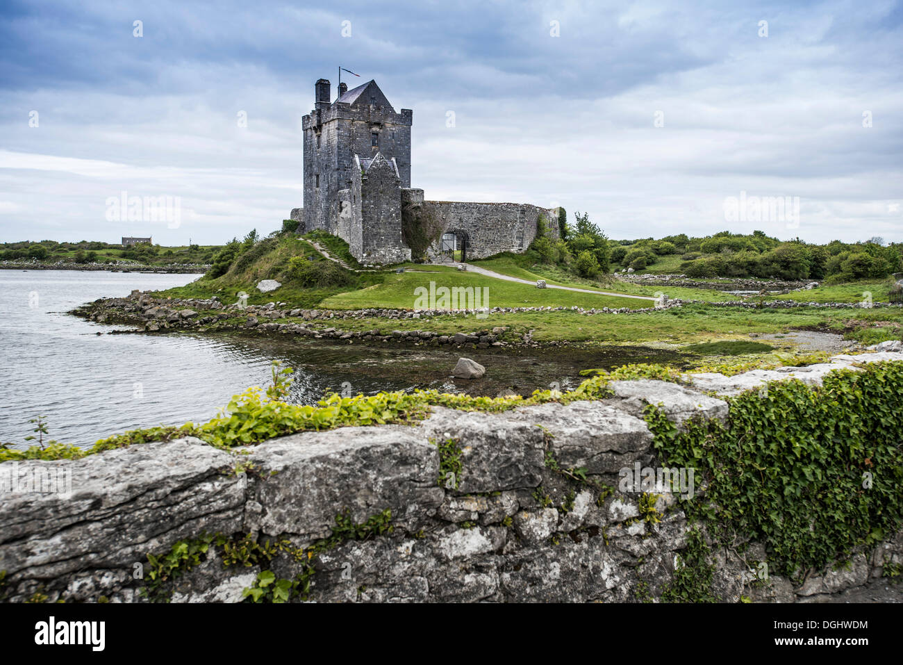 Dunguaire Castle mit einer Steinmauer und einem See, County Galway, Republik Irland, Europa Stockfoto