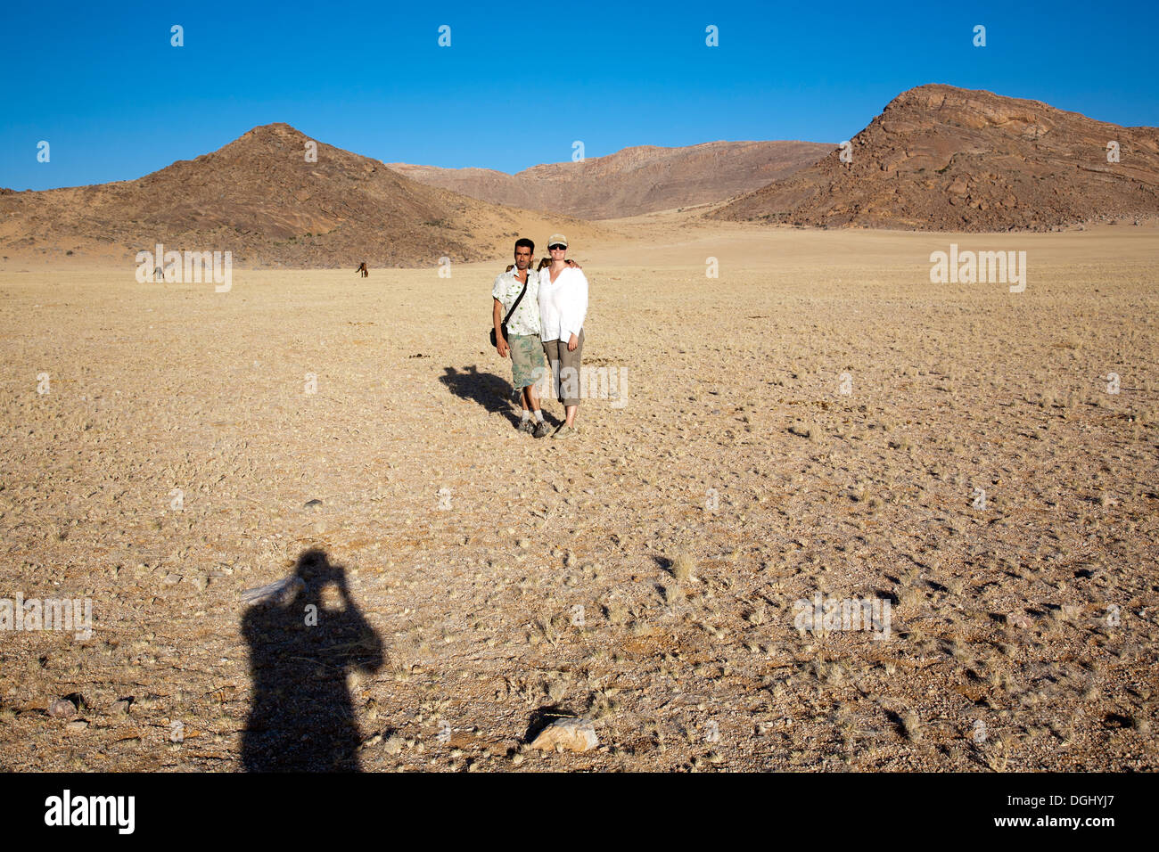 Posing von Wüste Pferde in der Nähe von Klein Aus Namibia Stockfoto