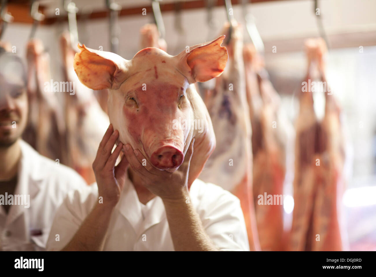 Metzger Holding Schweinskopf vor Gesicht Stockfoto