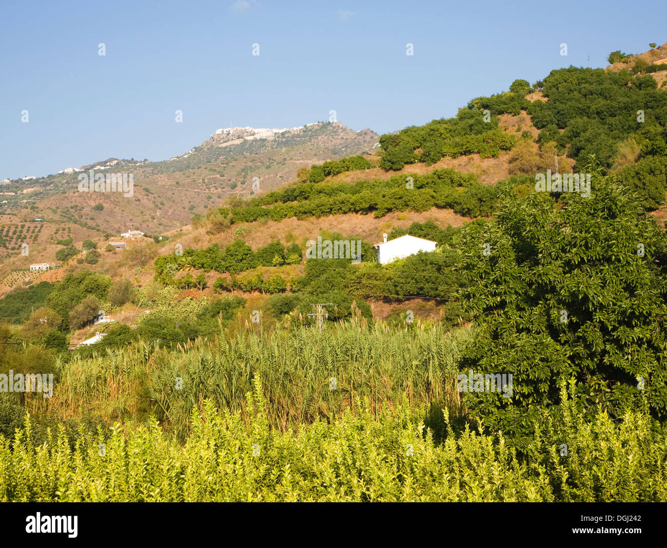 Fernblick auf den Berg top maurischen Dorf von Comares, Provinz Malaga, Spanien Stockfoto