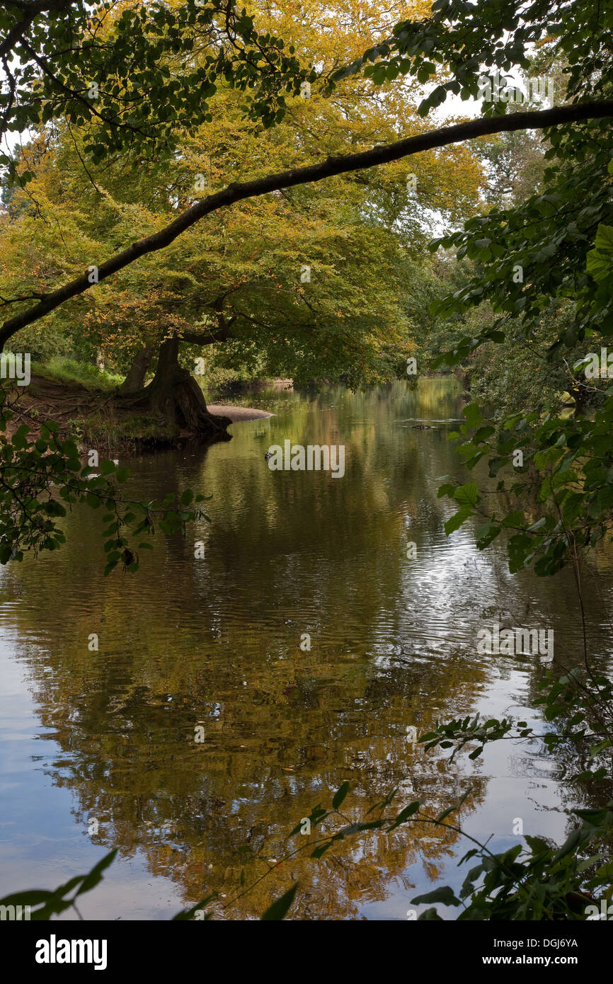 Fluß Nidd, North Yorkshire, England, fließt durch das Nidderdale Stockfoto