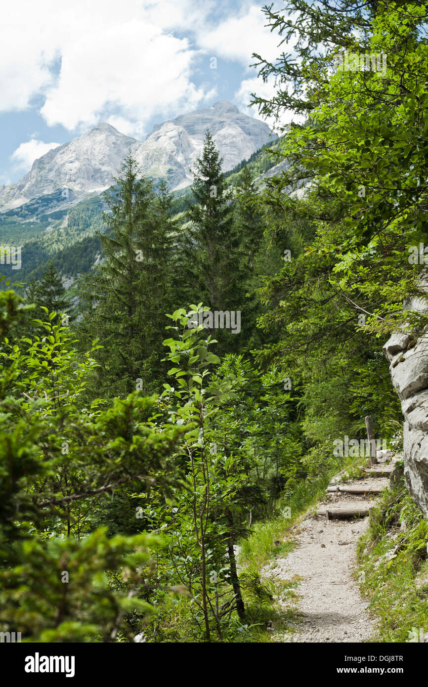 Julischen Alpen. Pfad. Stockfoto